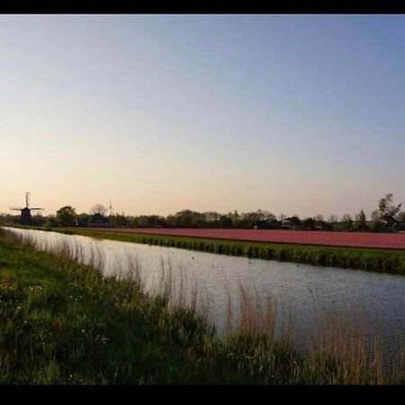Cozy Chalet In Opmeer Near Amsterdam And Beach מראה חיצוני תמונה